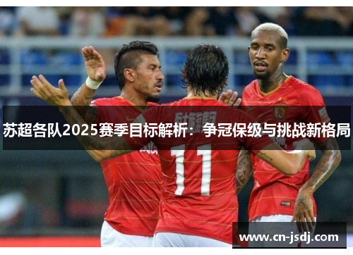 苏超各队2025赛季目标解析：争冠保级与挑战新格局